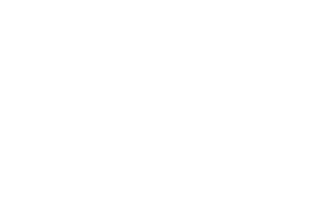 The Southern Pecan logo